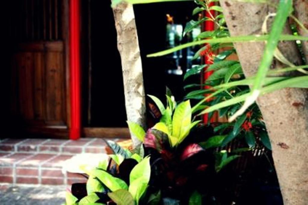 Rainforest Bed & Breakfast Kuala Lumpur Exteriör bild