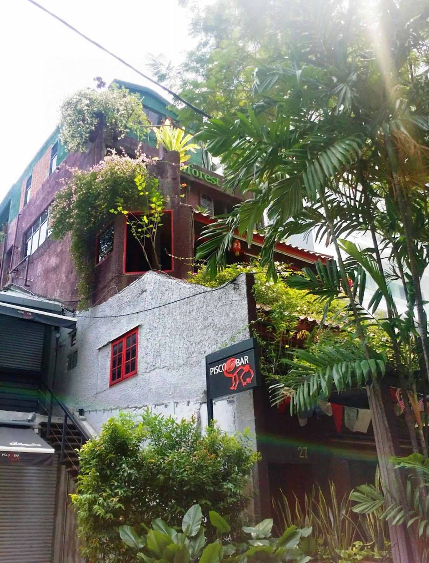 Rainforest Bed & Breakfast Kuala Lumpur Exteriör bild