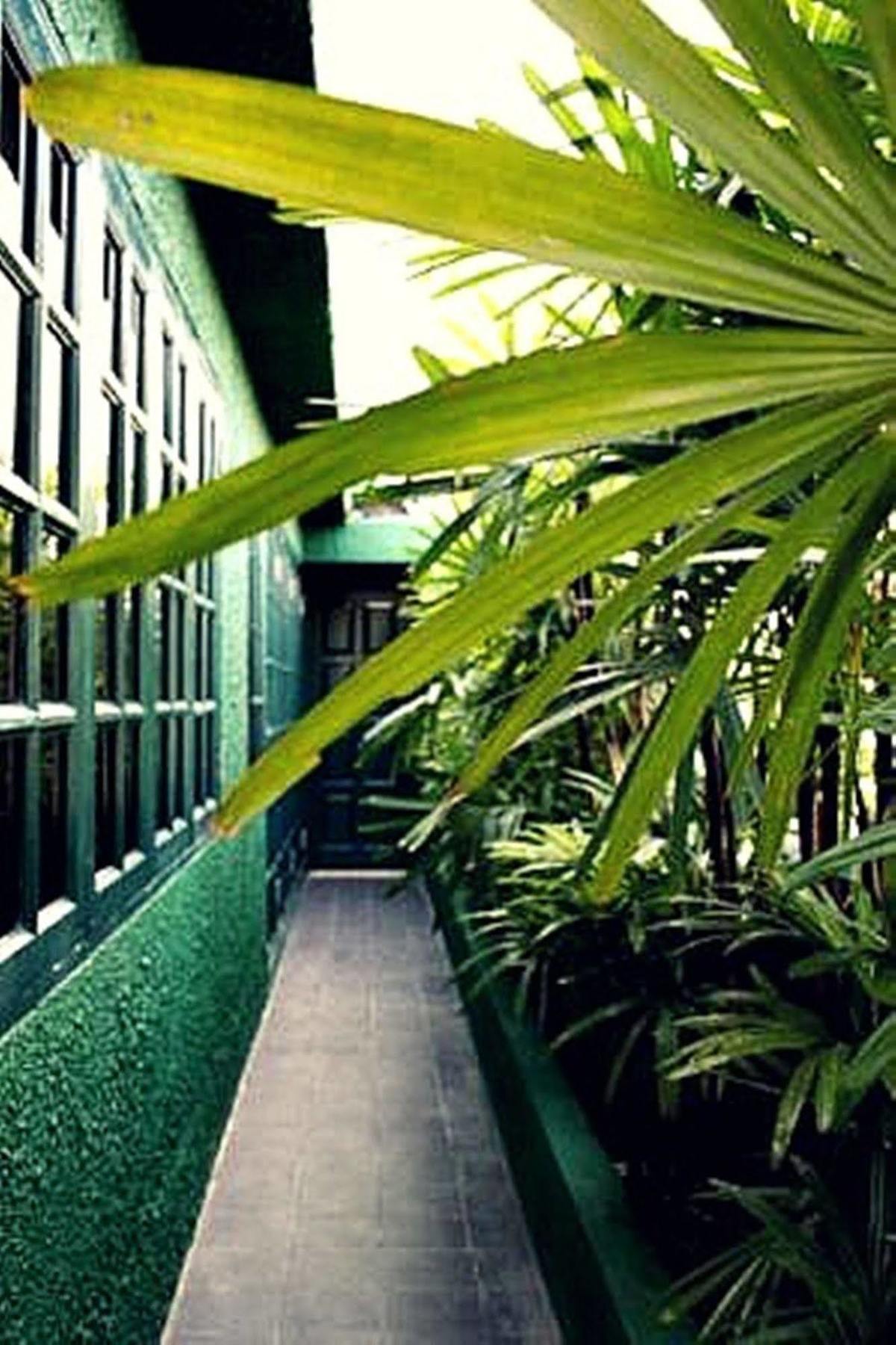 Rainforest Bed & Breakfast Kuala Lumpur Exteriör bild